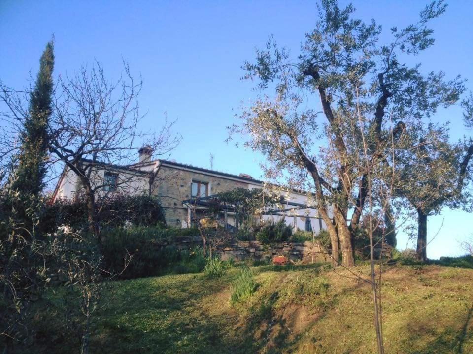 Agriturismo Menghino Nievole Exteriör bild
